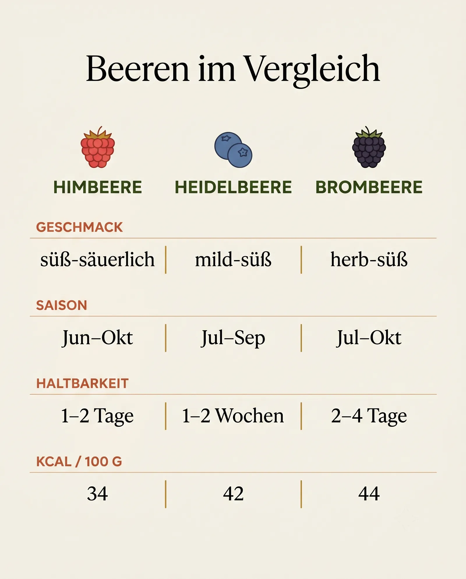 Infografik: Himbeere, Heidelbeere und Brombeere im Vergleich nach Geschmack, Saison und Haltbarkeit
