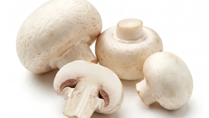 Champignons
