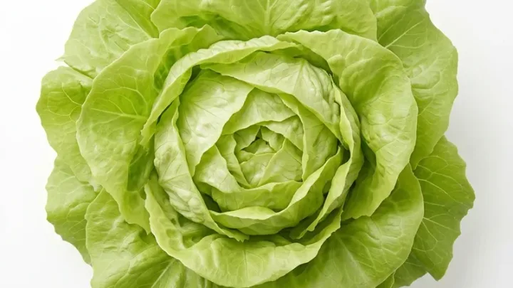 Kopfsalat