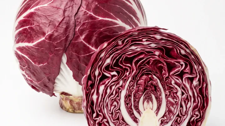 Radicchio