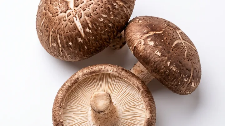 Shiitake