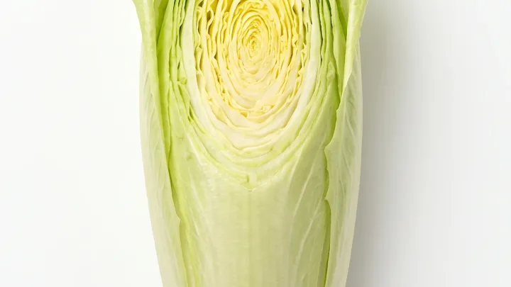 Spitzkohl