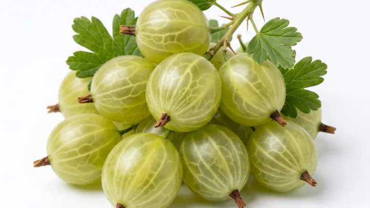 Stachelbeeren