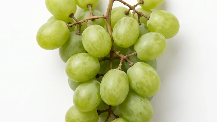 Weintrauben