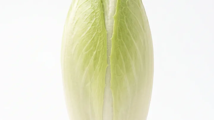 Zuckerhut