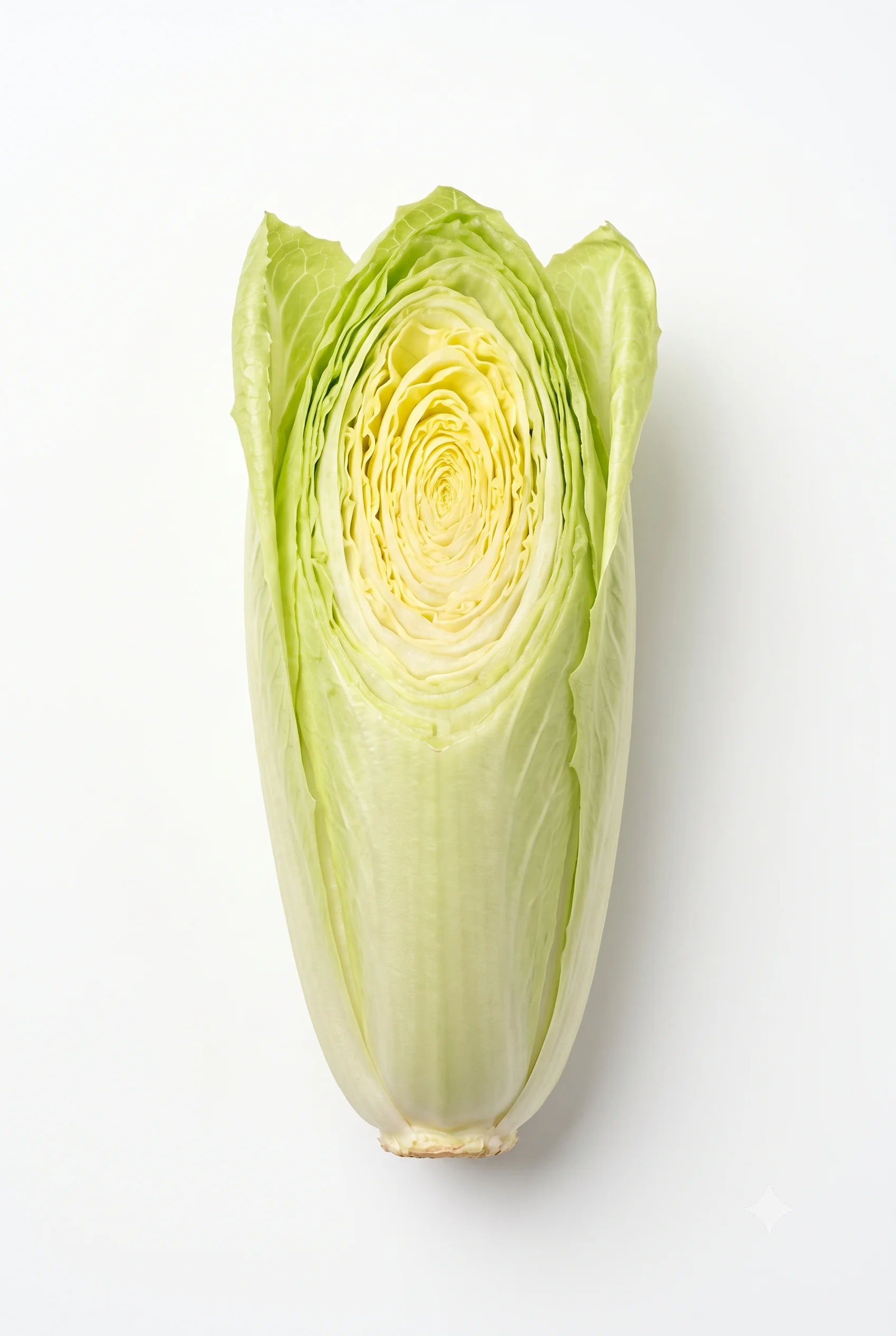 Spitzkohl