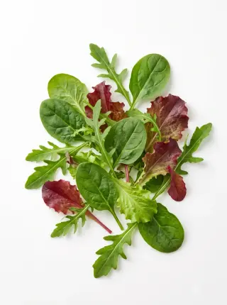 Alle Blattsalate