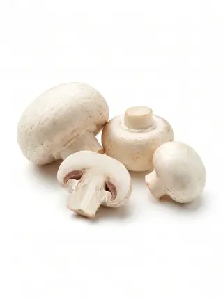 Champignons