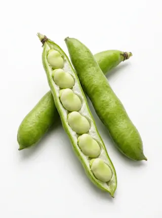 Dicke Bohnen