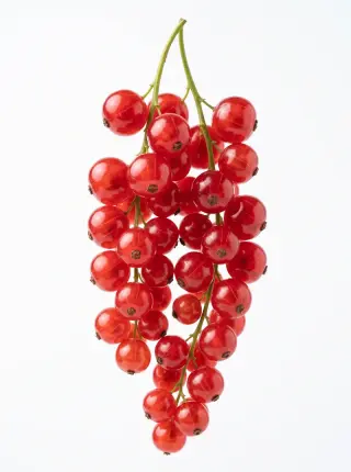 Johannisbeeren