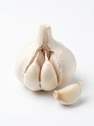 Knoblauch