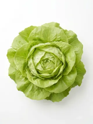 Kopfsalat