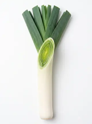 Lauch