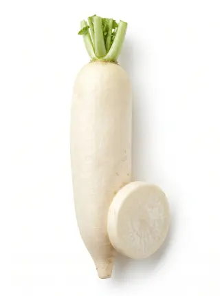 Rettich