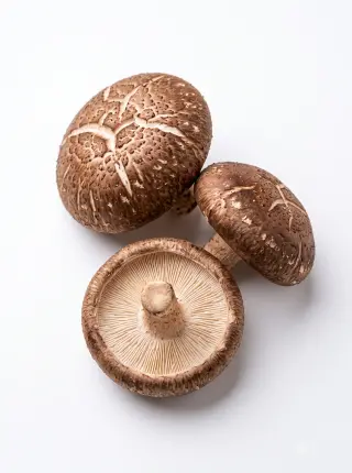 Shiitake
