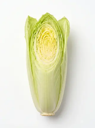 Spitzkohl