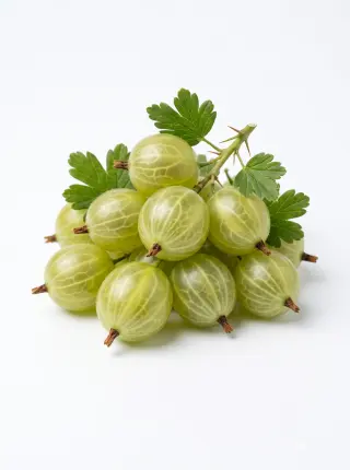 Stachelbeeren