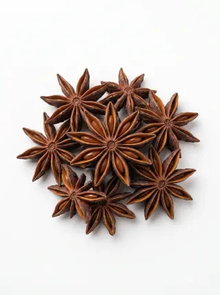 Sternanis