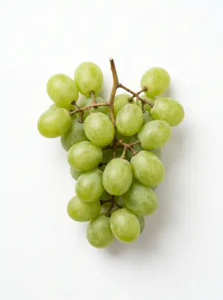 Weintrauben