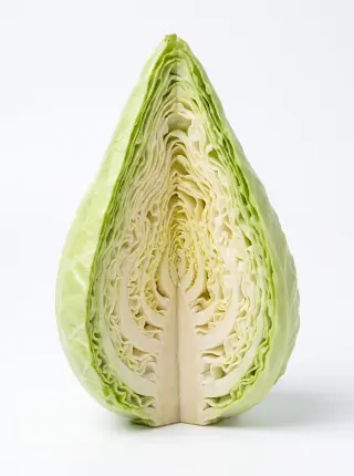 Weißkohl