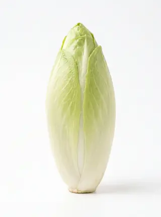 Zuckerhut