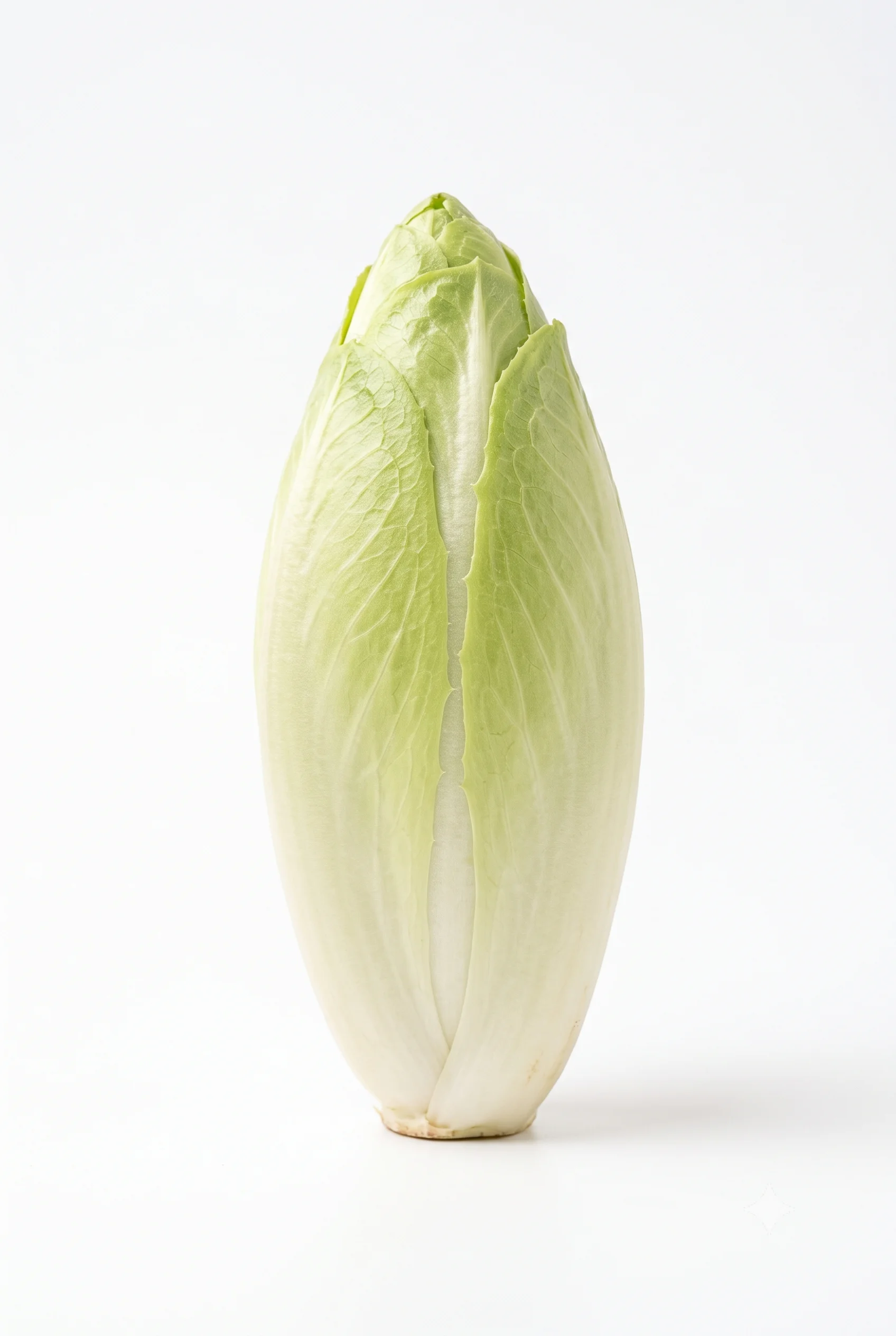 Zuckerhut